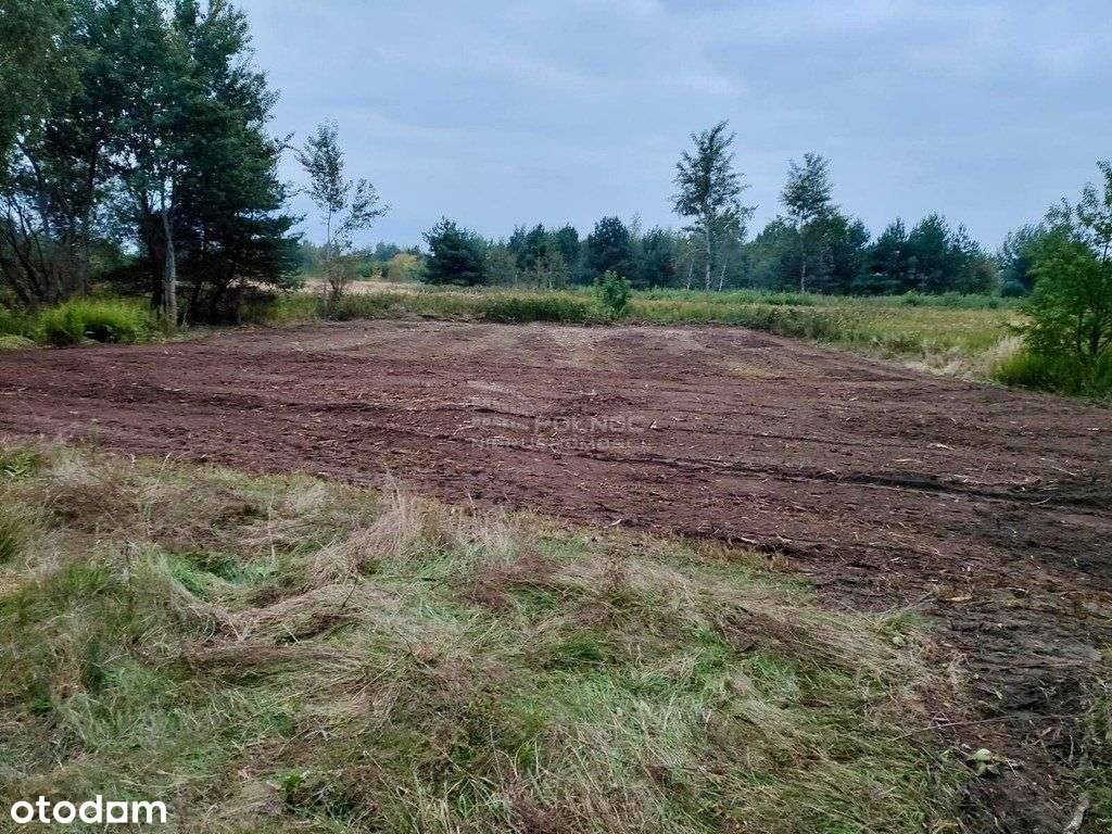 Działka 13,68 ar | Kajmów | Zmiana Ceny ! - Pełny obrazek: 4/5