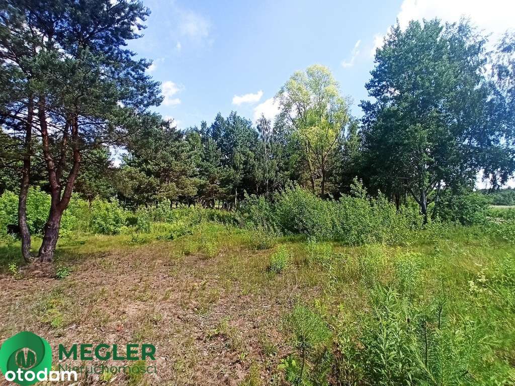 Ojrzanów działka w otulinie lasu - Pełny obrazek: 5/10