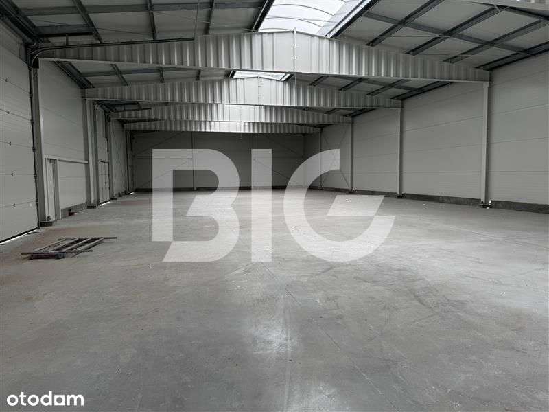 Nowy Magazyn Blisko Obwodnicy - Pełny obrazek: 5/5