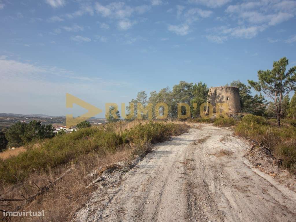 Moinho em Surraipas, Pocariça-4