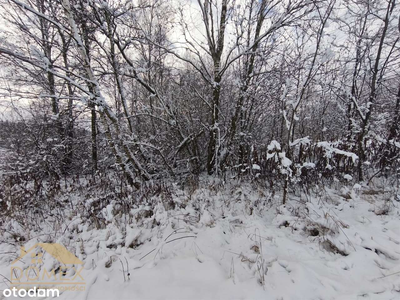 Duża działka w Radlinie – 3467m² - TOP-7