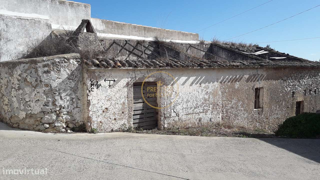 Terreno com ruina e ampla vista aberta da Picota até ao mar - Grande imagem: 3/14