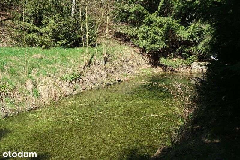 Janowice Wlk. Mały dom 3 pok. 65 m2-11