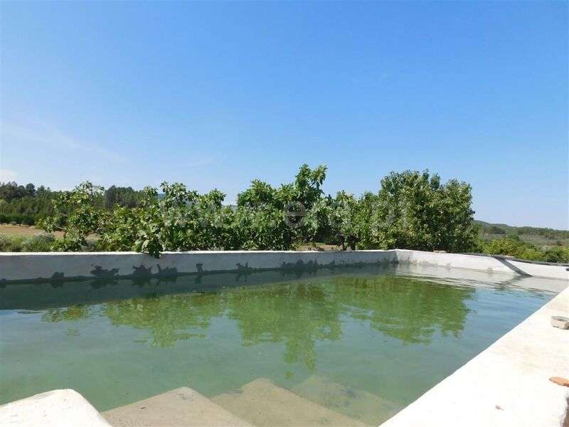 Quinta T5 / Fundão, Enxames - Grande imagem: 2/15