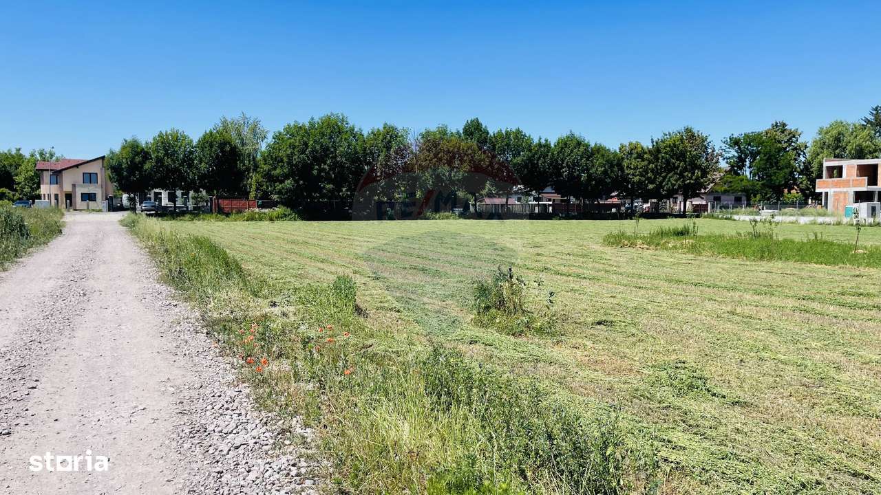 Teren intravilan 10.000 mp în Stupini, Brașov - Imagine principală: 5/9