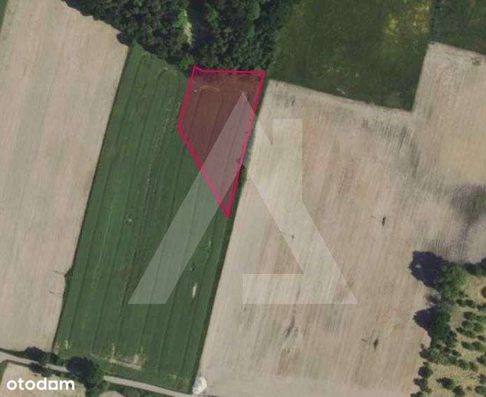 Na sprzedaż działka 4.125 mkw Wałdowo Królewskie - Pełny obrazek: 4/7