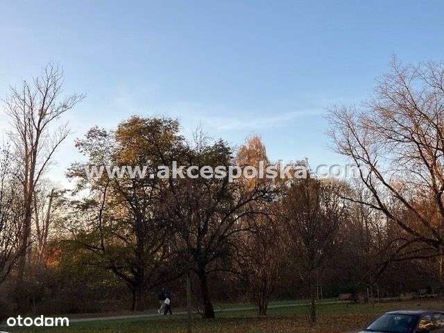 Mieszkanie z dużym potencjałem do aranżacji-16