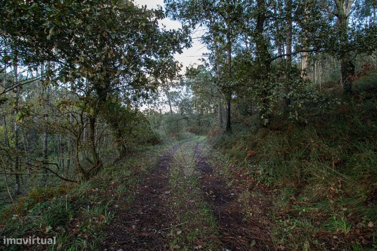 Terreno  para venda - Grande imagem: 5/16