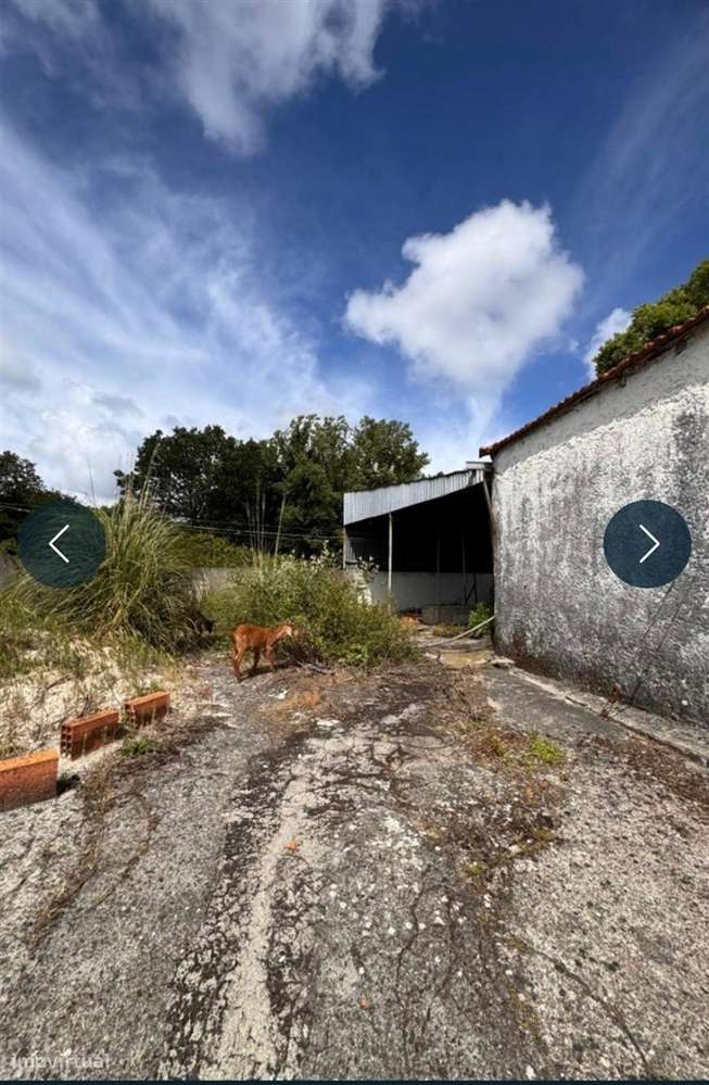 Prédio com 3 Habitações, Garagem e Terreno em Grijó-16