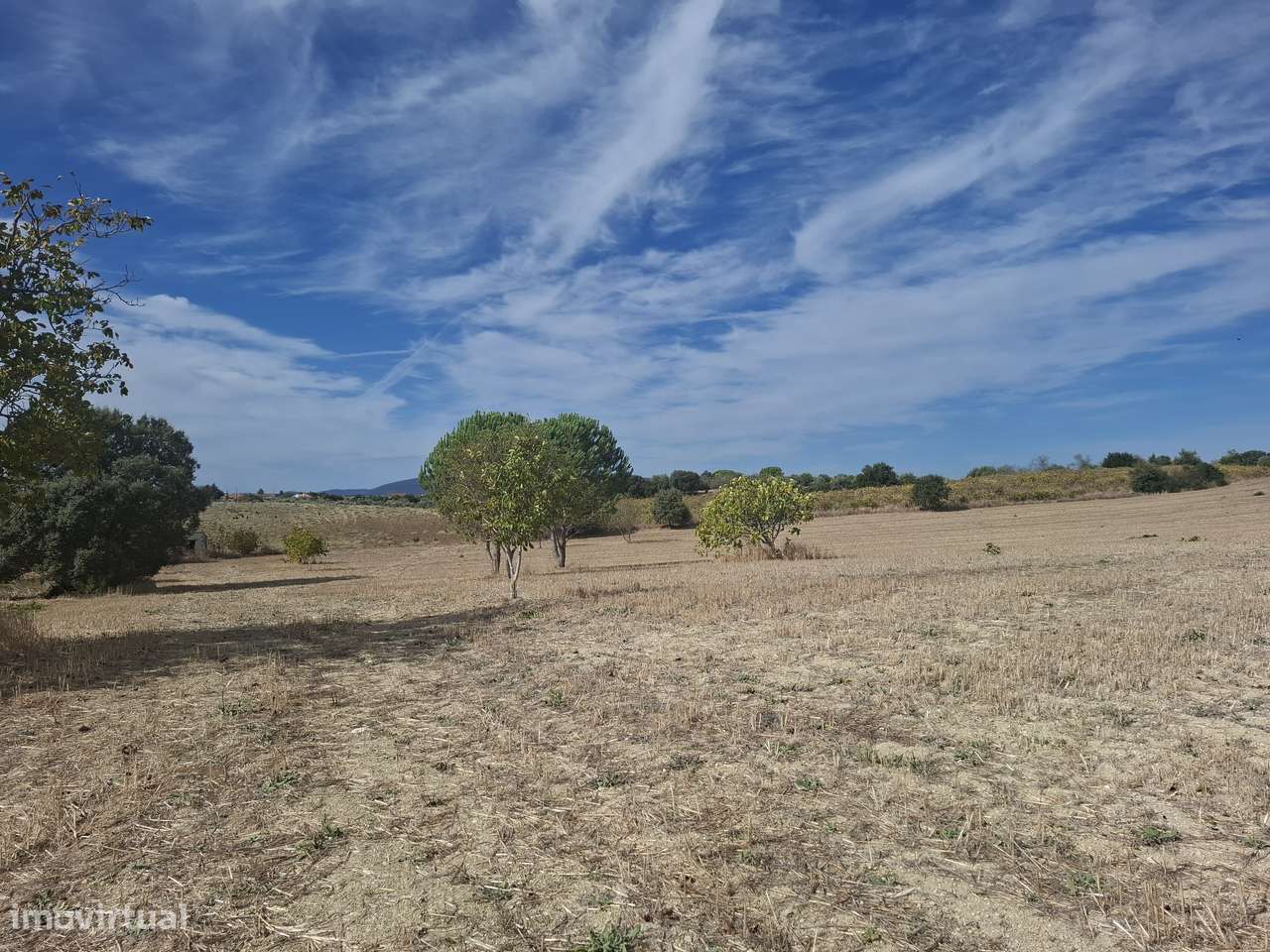 Terreno Rústico Cassanho - Grande imagem: 4/4