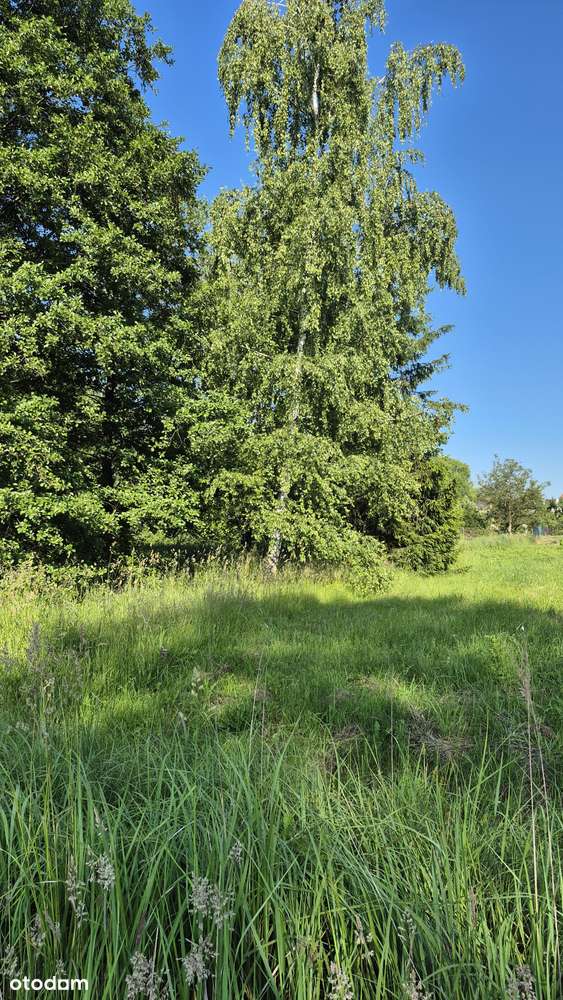 Działka Łazy 1194mkw-3