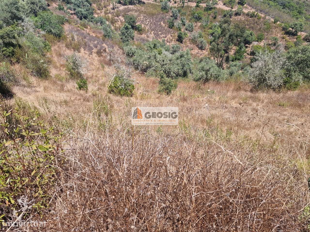 Terreno Rústico  Venda em Santana da Serra,Ourique - Grande imagem: 4/15