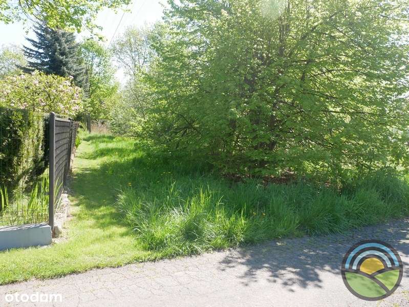 Działka budowlana 1395 m2 k/ Skawiny ! - Pełny obrazek: 3/7