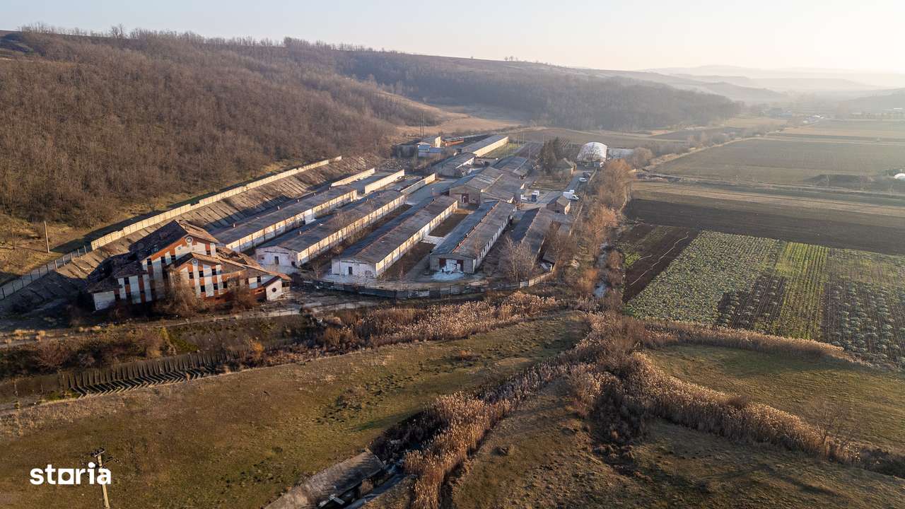 Fosta Ferma a Partidului de la Horgesti - de vanzare-11