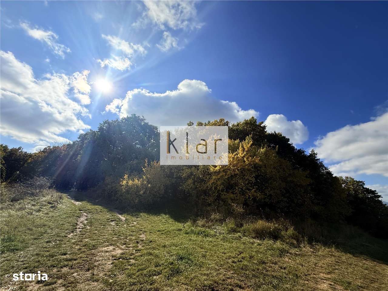 Comision 0% Oportunitate investitie teren extravilan  Salicea - Imagine principală: 5/8