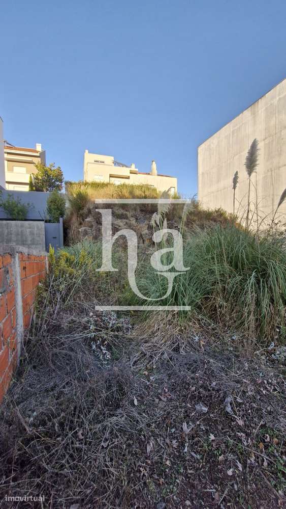 Terreno Valongo- Quinta da Lousa - Grande imagem: 4/6