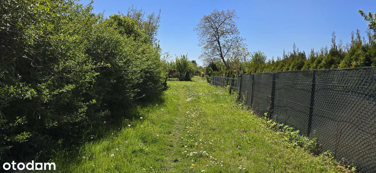 Działka ROD Gdańsk Stogi blisko morza-6