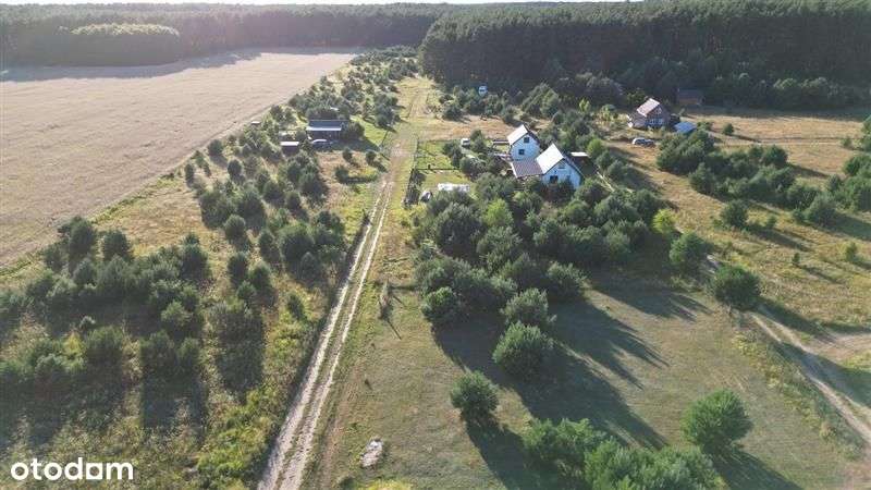 Działki na terenie Puszczy Rzepińskiej - Pełny obrazek: 2/16