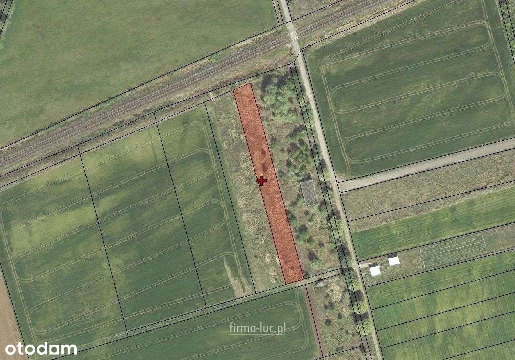 Działka uprawna/rolna Wieprzyce - Pełny obrazek: 4/6