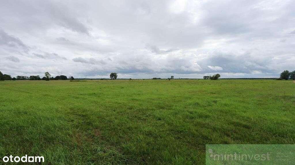 Działka rolna w Żarnowie 3,31 ha, gmina Stepnica-1
