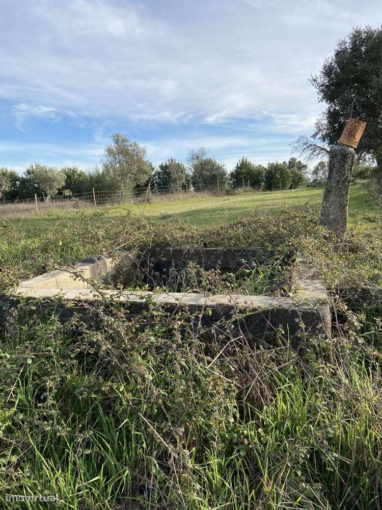 Quinta com casa em pedra - Grande imagem: 5/12