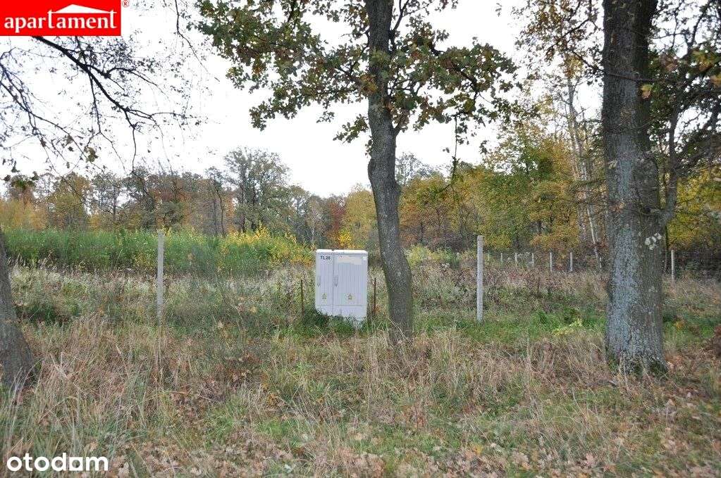 Działka budowlana, ul. Kalinowa-1