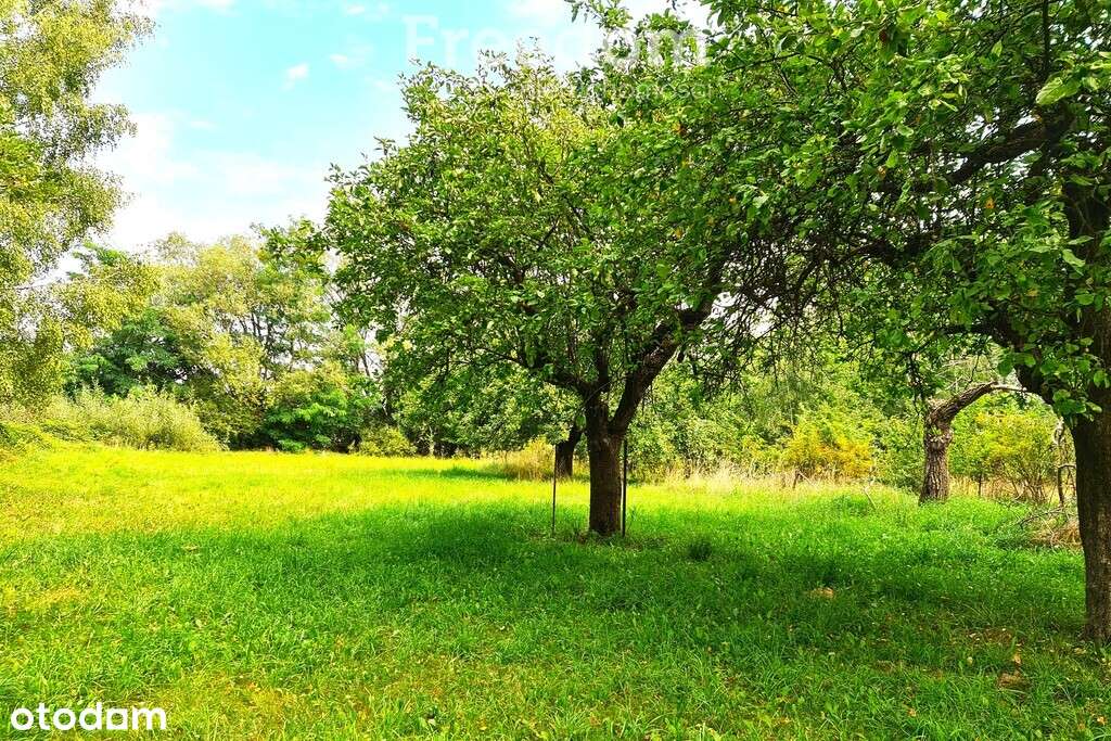 Działka budowlana na sprzedaż - Pełny obrazek: 5/8
