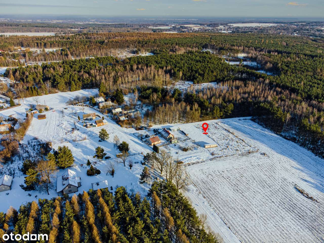 w lesie | nasłoneczniona | woda na działce-3