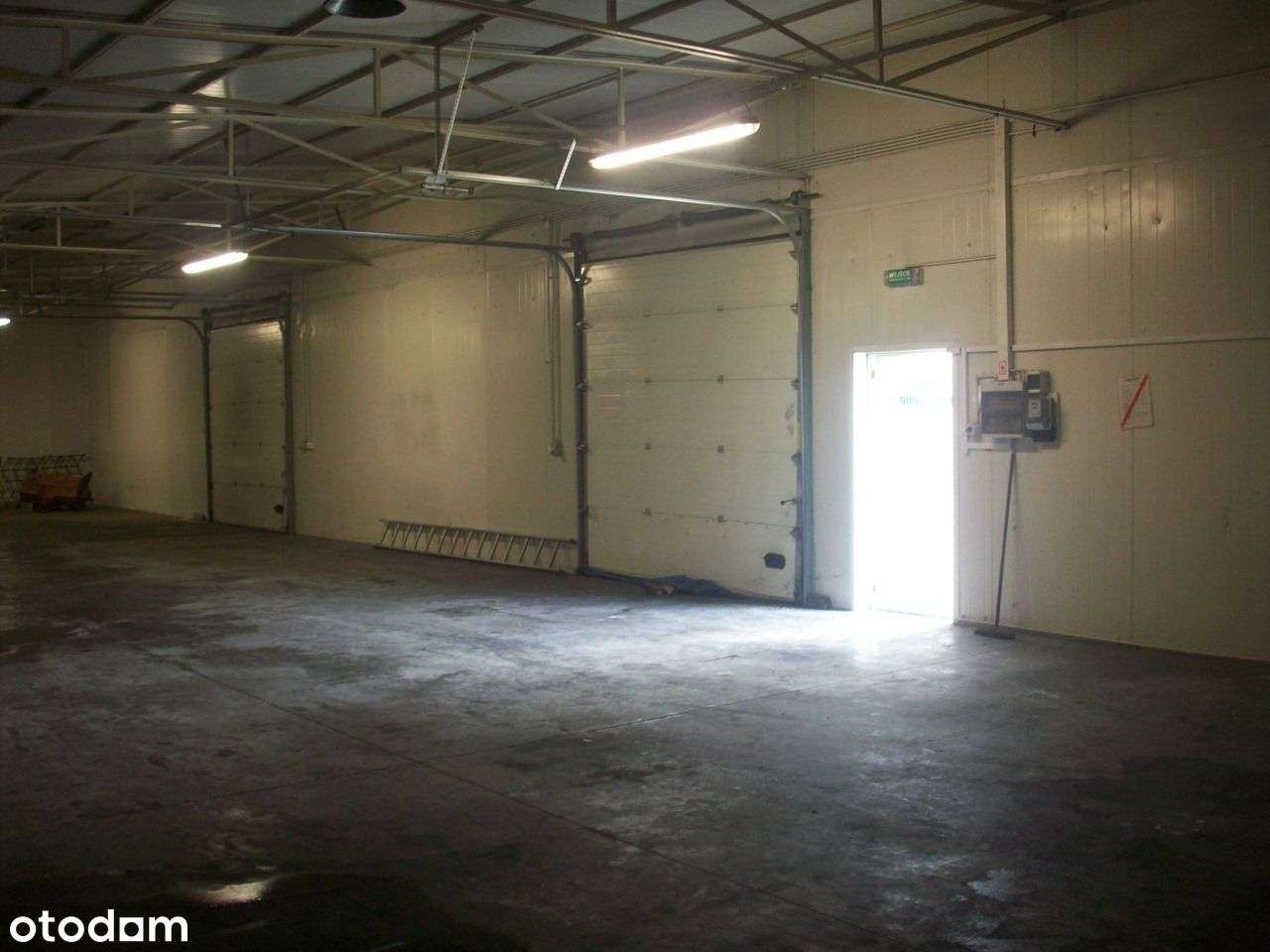 do wynajęcia 170m2 magazyn + biuro, hala lokal Kalisz wrocławska Amber - Pełny obrazek: 5/7