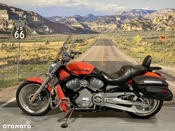 Harley-Davidson Softail V-Rod - 4