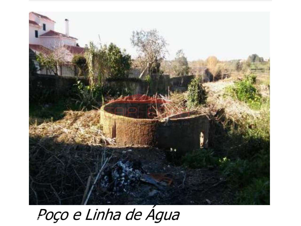 Terreno com 22 000 m2 em Sintra - Grande imagem: 5/10