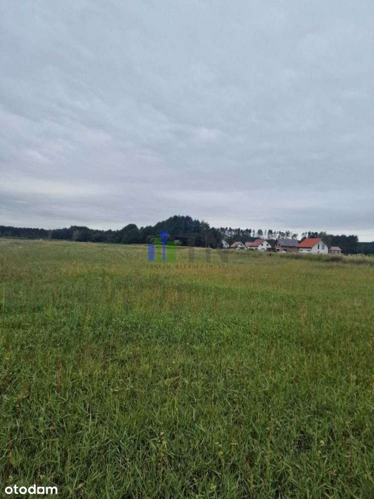 Przy Lesie! - Pełny obrazek: 5/12