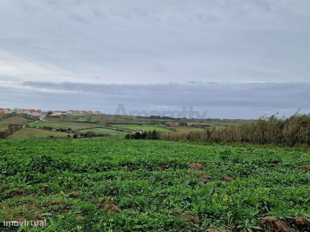 Terreno Para Agricultura em Torres Vedras-1