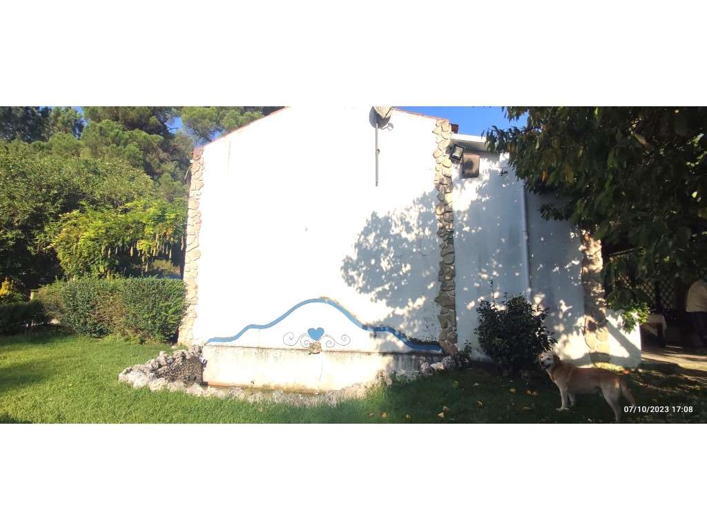 Quinta com duas moradias, anexos, diversas arvores de fruto, vinha ...-9