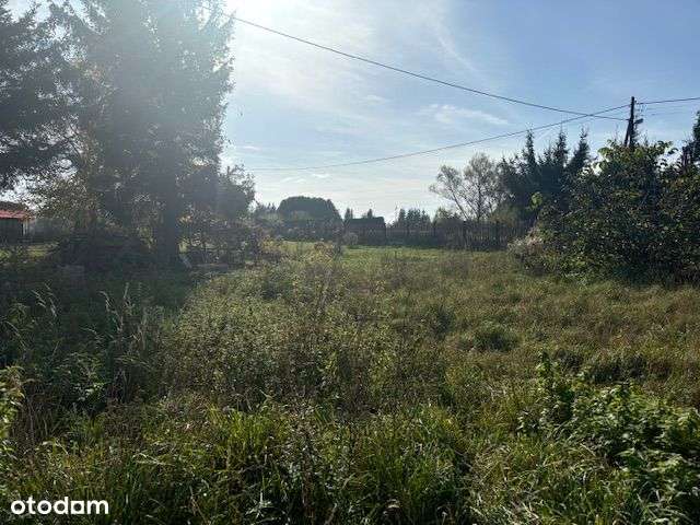 Sprzedam nieruchomość w Radostawiu Dolnym!!! - Pełny obrazek: 4/6