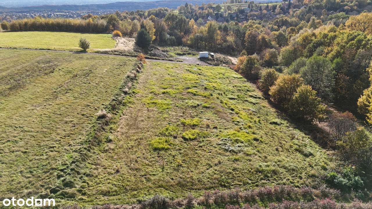 Gmina Czernichów, Rybna – 53 ary - Pełny obrazek: 2/7