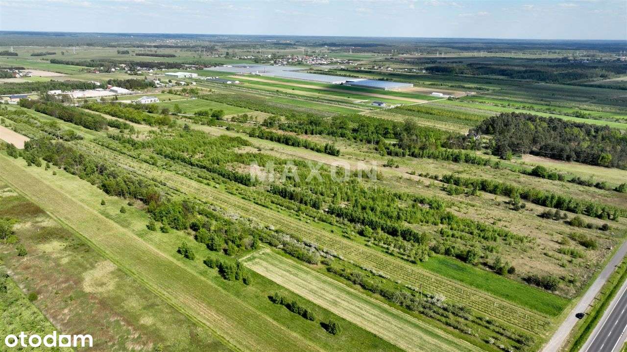 ❗❕ Radwanków Szlachecki Wz 5,06 Ha P/U ❕❗ - Pełny obrazek: 5/11