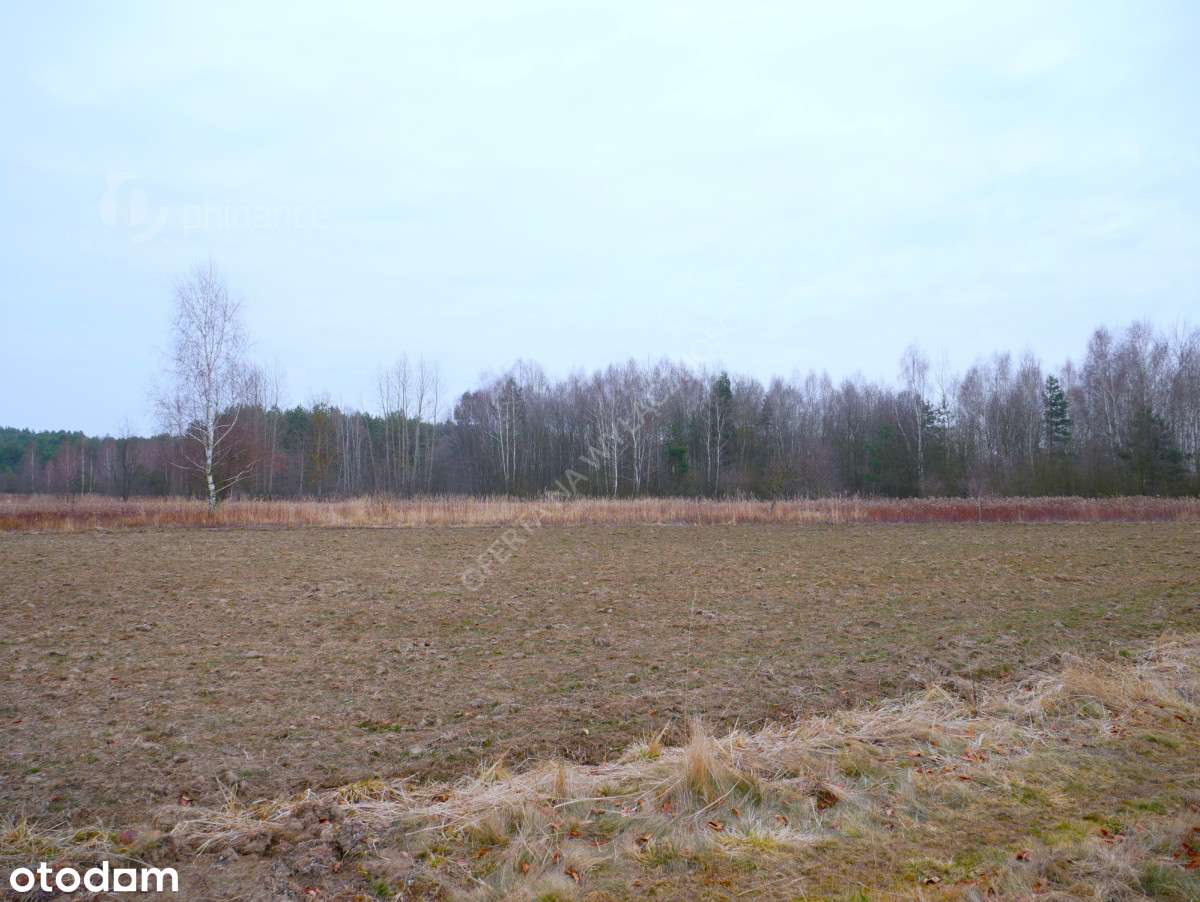 Działka 29,16 ar, rolno-budowlana z Wz, Grębów - Pełny obrazek: 5/7