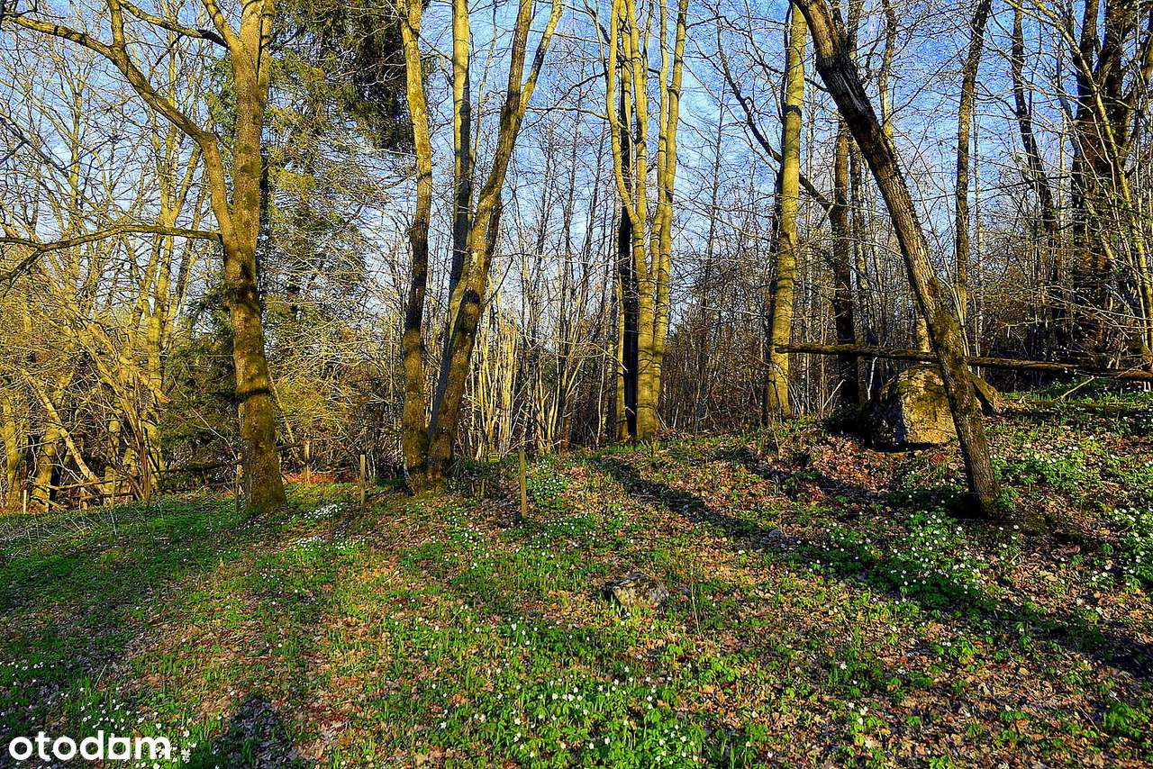 Oaza na Wzgórzach Dylewskich-6