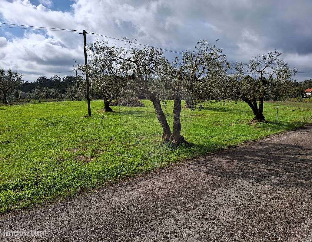 Terreno  para venda - Grande imagem: 4/6