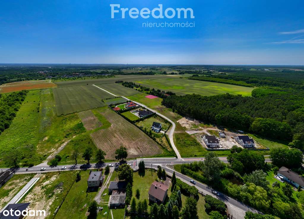 Działka przy lesie w  Radojewie. - Pełny obrazek: 4/9