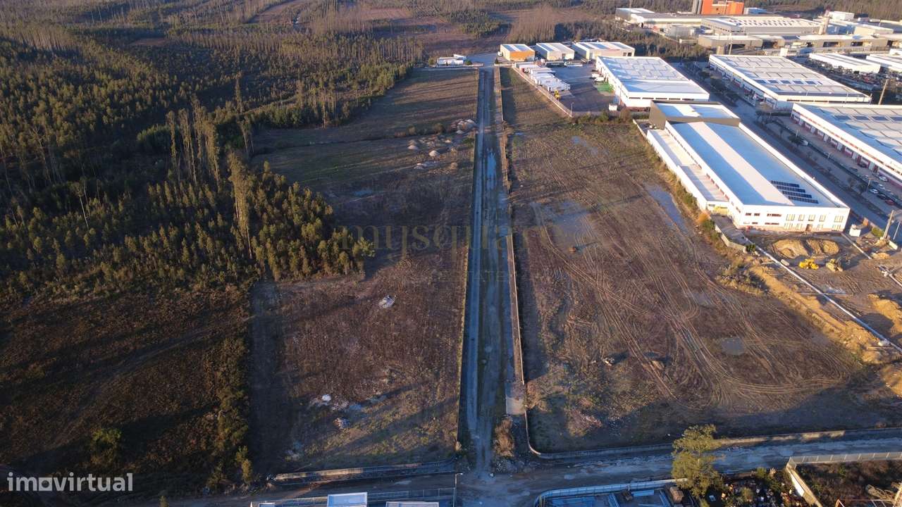 Terreno Industrial para Venda – Zona Industrial de Albergaria-a-Velha-20