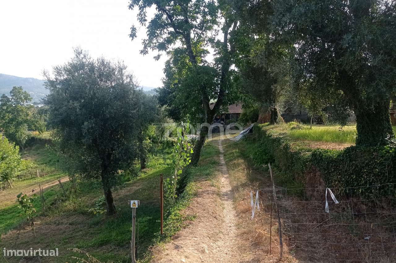 Moradia para recuperar, com terreno, Cabeceiras de Basto - Grande imagem: 5/30