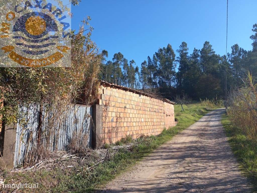 Moradia para recuperar com extenso logradouro - Grande imagem: 5/8