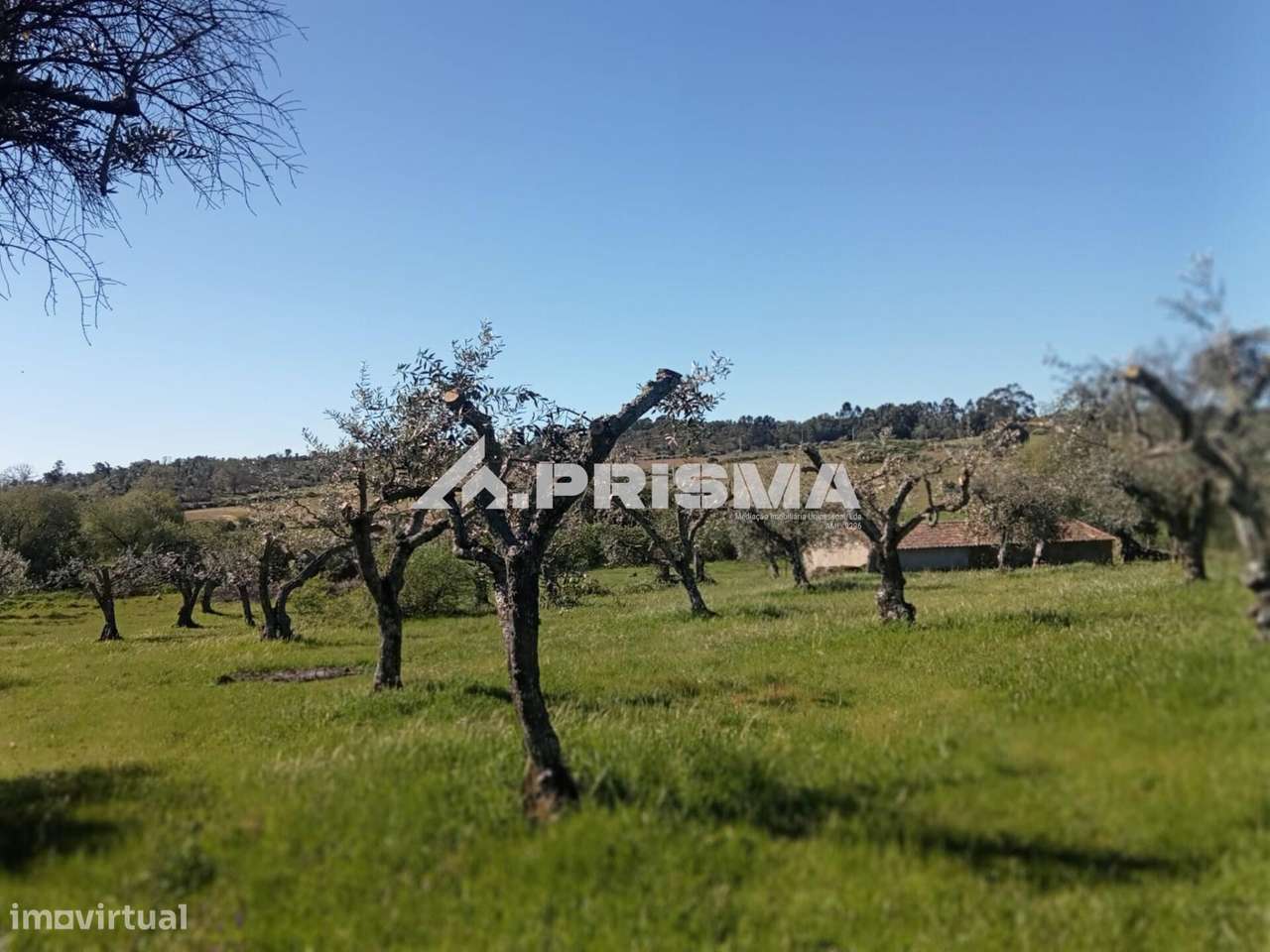 Quintinha para venda em Tinalhas, Castelo Branco-13