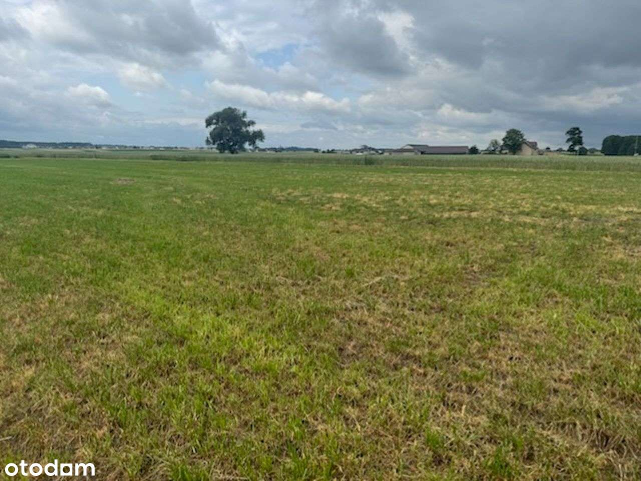 Duża działka 12 km od Wyszkowa - Pełny obrazek: 5/7