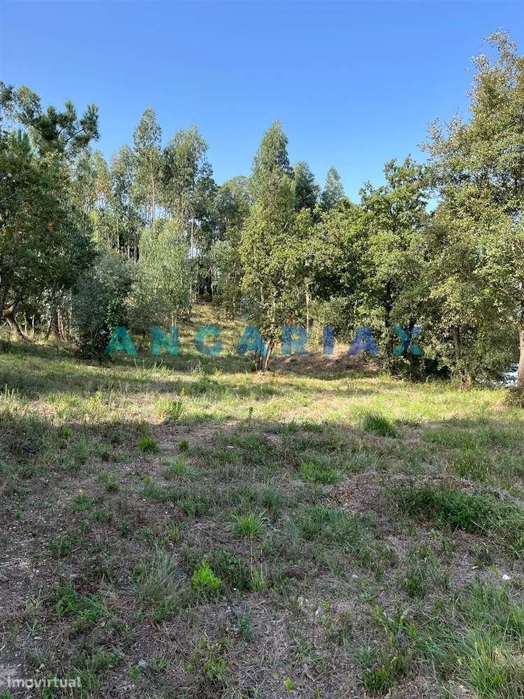 ANG583 - Terreno de 3000m2 para Venda em Zambujo, Leiria - Grande imagem: 3/10