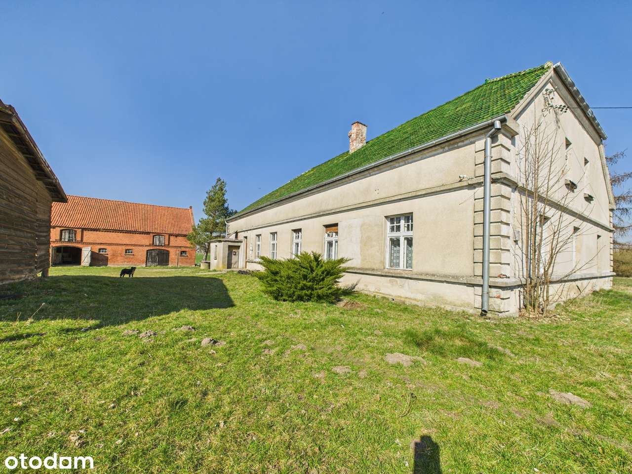 Gospodarstwo rolne-dom, budynek gospodarczy, staw i 14ha ziemi - Pełny obrazek: 4/19