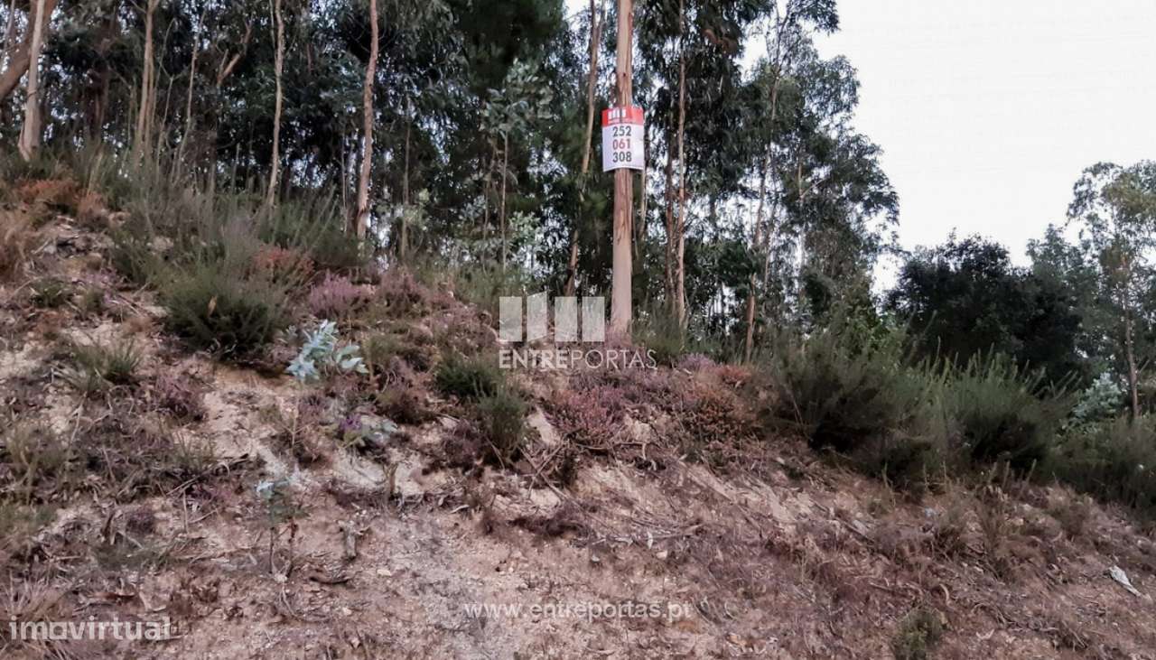 Venda de Terreno com 10808 m2, Touguinhó, Vila do Conde - Grande imagem: 4/12