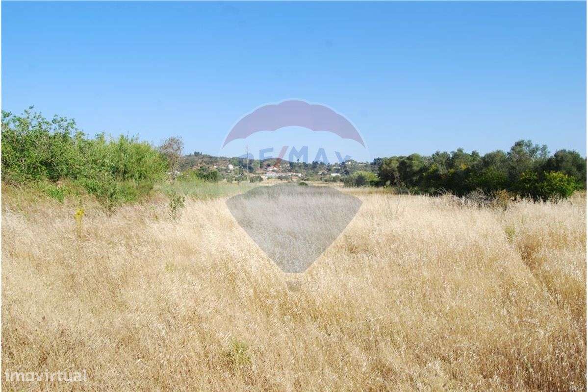 Terreno  para venda - Grande imagem: 4/11